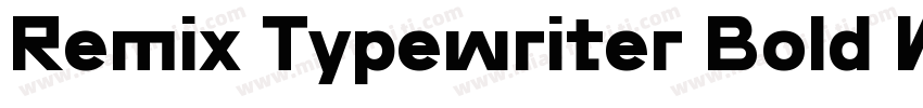 Remix Typewriter Bold W05 Rg字体转换